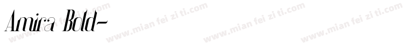 Amira Bold字体转换